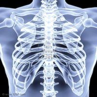 Kamloops Downtown X-Ray Clinic logo