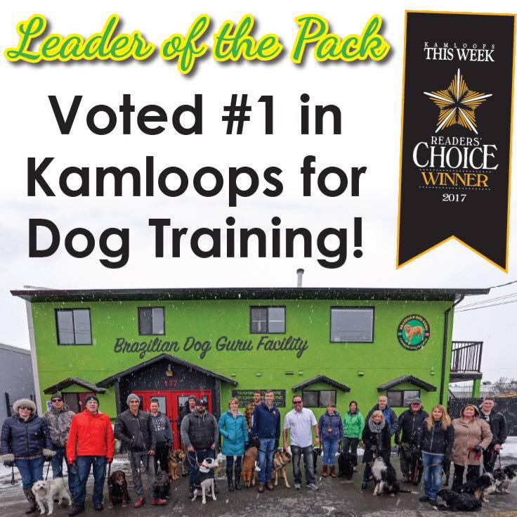 Brazilian Dog Guru Facility Kamloops, BC Okanagan Local